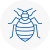 Bed Bug Extermination In Stafford